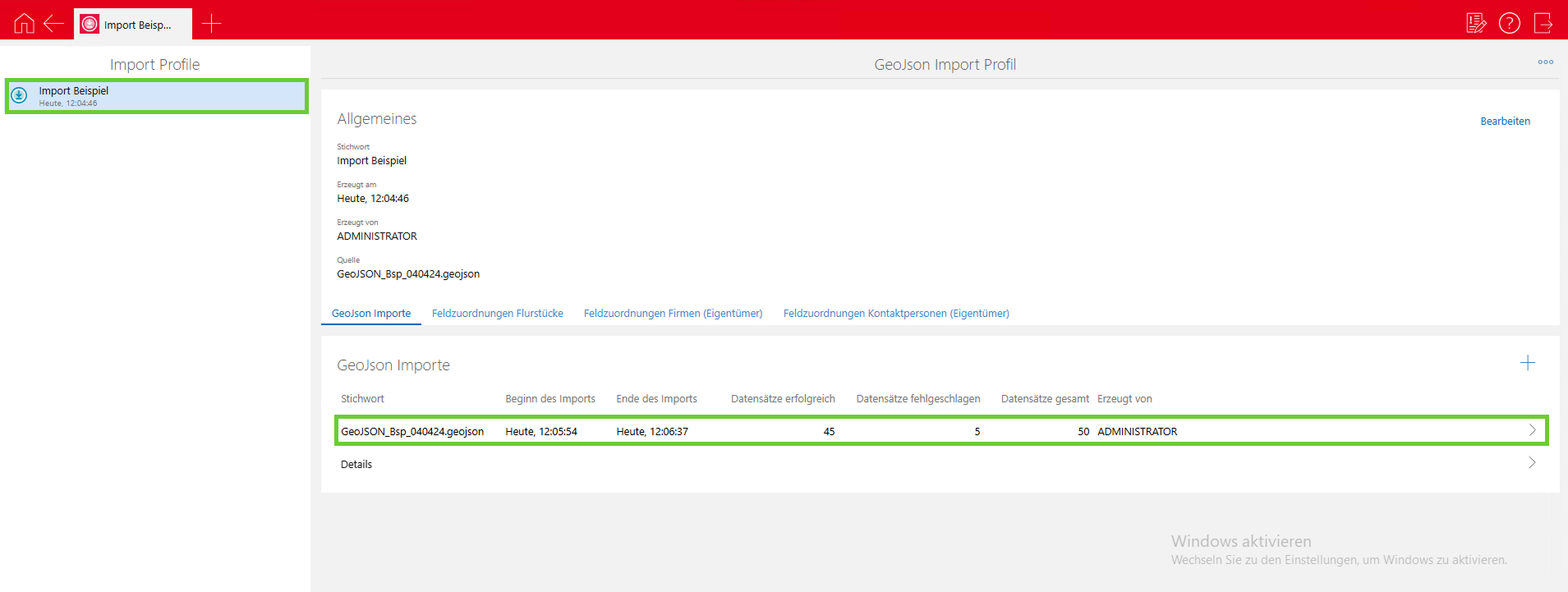 4. Import Profil_Anzeige ausgeführter Importe.png