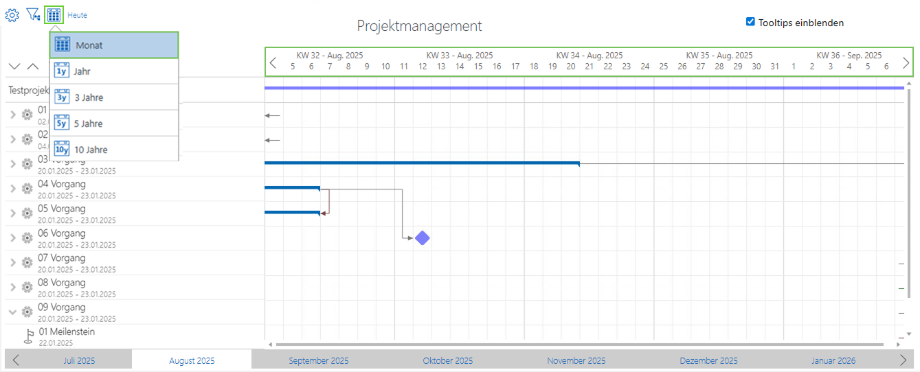 Projektmanagement_Kalenderansicht Monat.png